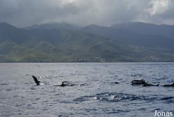 Guadeloupe