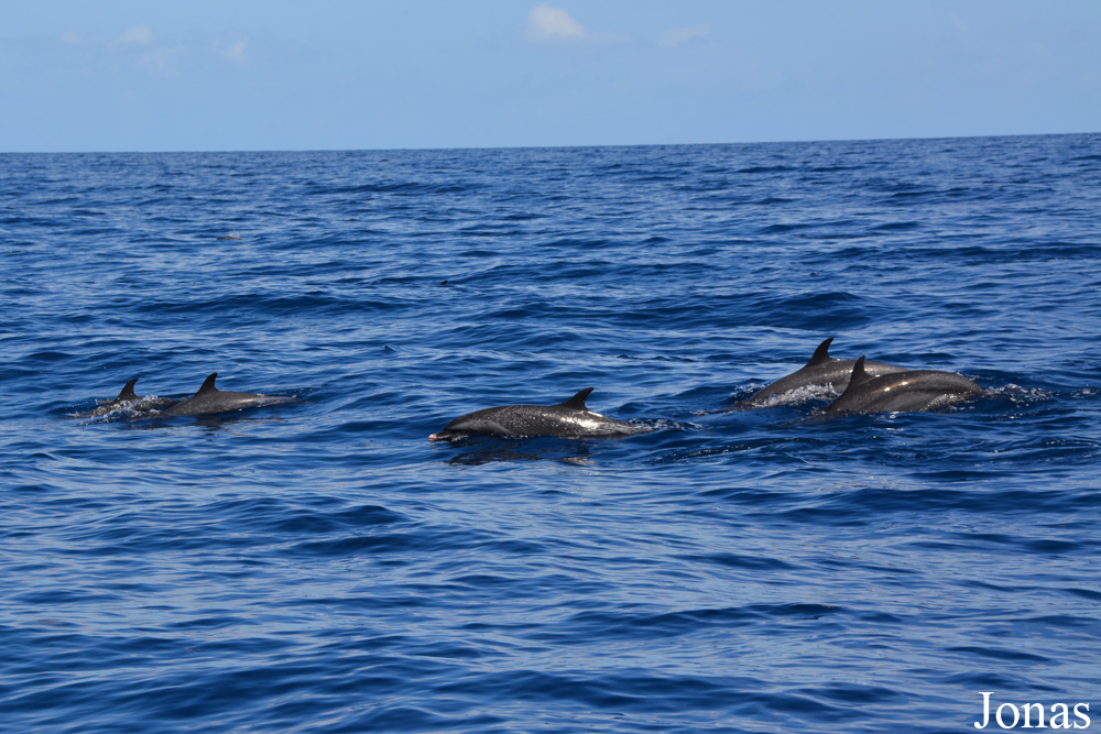 Guadeloupe