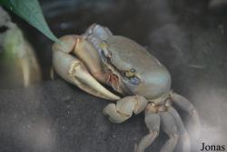 Zoo de Guadeloupe