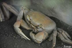 Zoo de Guadeloupe