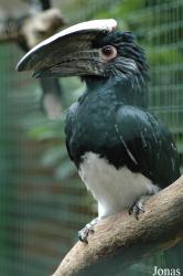 Tier- und Freizeitpark Thüle