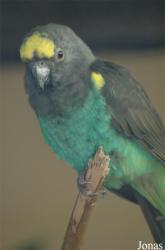 Tierpark Bad Pyrmont