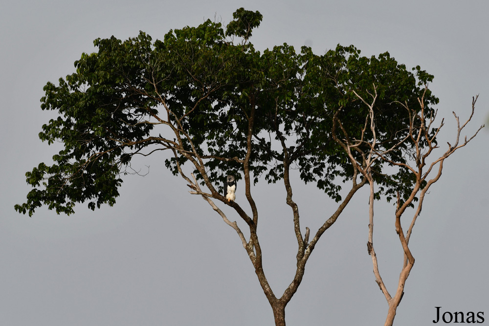 Mont Paramana