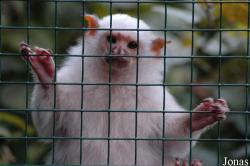 Tier- und Freizeitpark Thüle