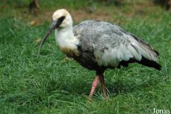 Tier- und Freizeitpark Thüle
