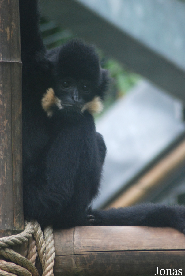 Parc Zoologique et Botanique de Mulhouse