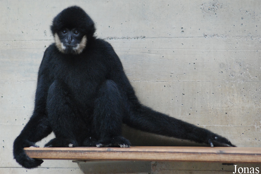 Parc Zoologique et Botanique de Mulhouse