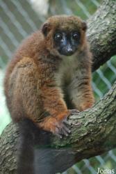 Parc Zoologique et Botanique de Mulhouse