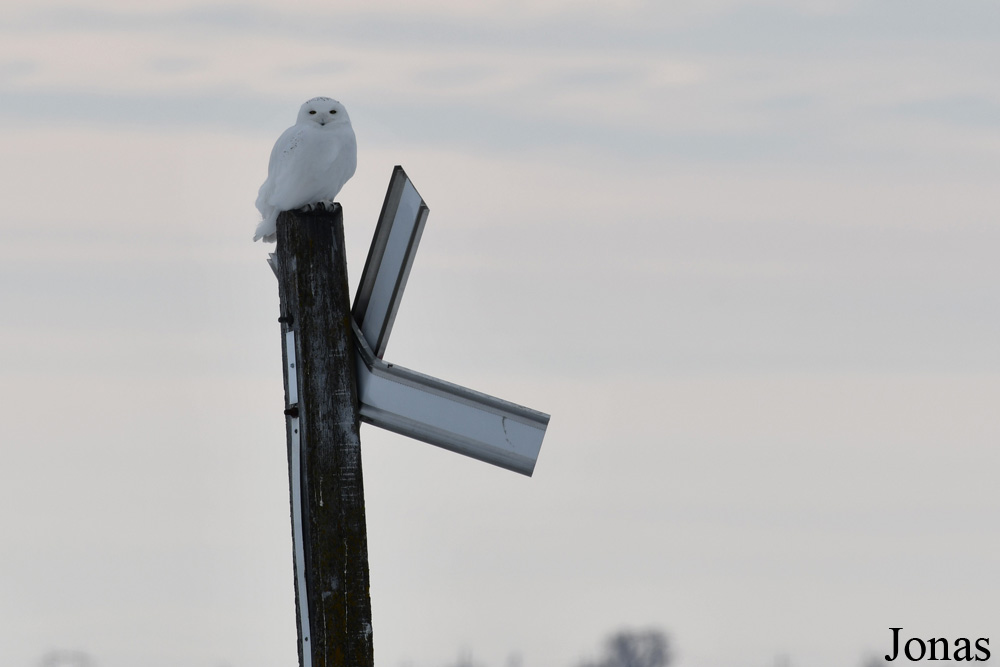 Manitoba