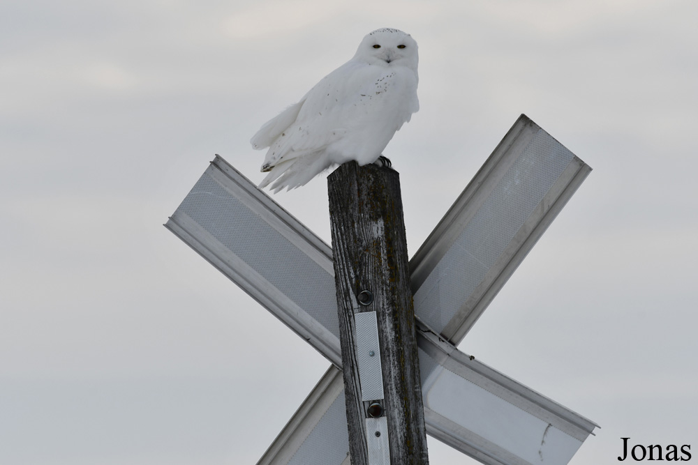 Manitoba
