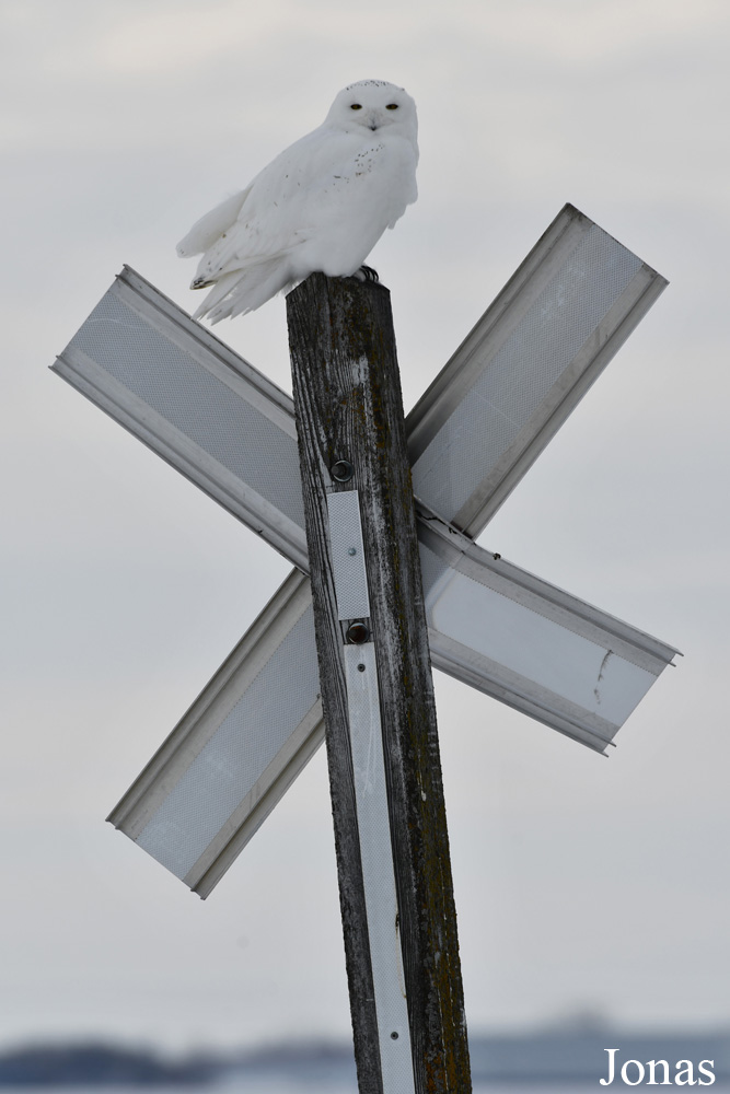 Manitoba