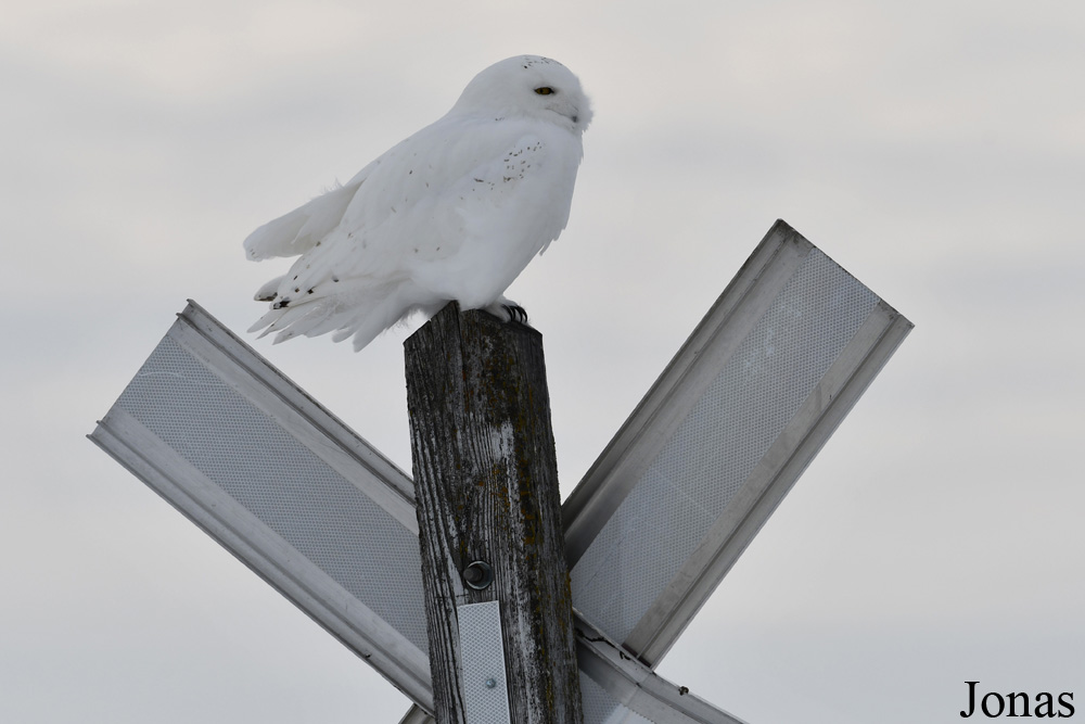 Manitoba