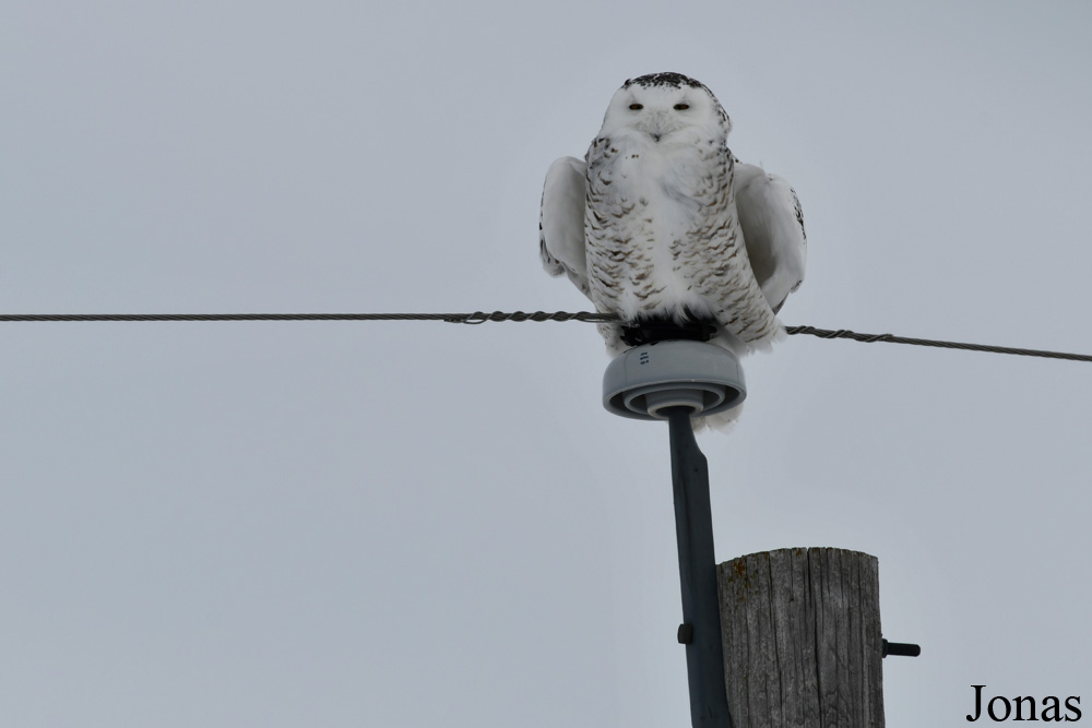 Manitoba