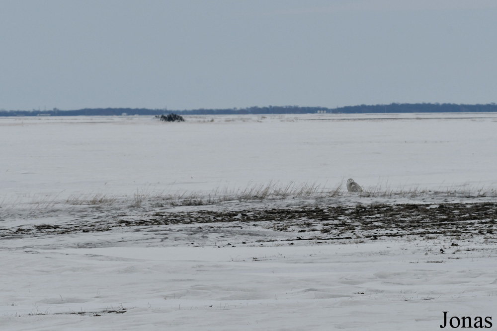 Manitoba