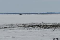 Manitoba