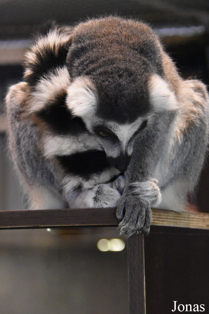 Zoopark Vilnius