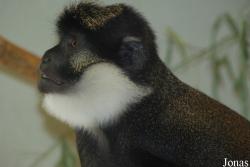 Parc Zoologique et Botanique de Mulhouse