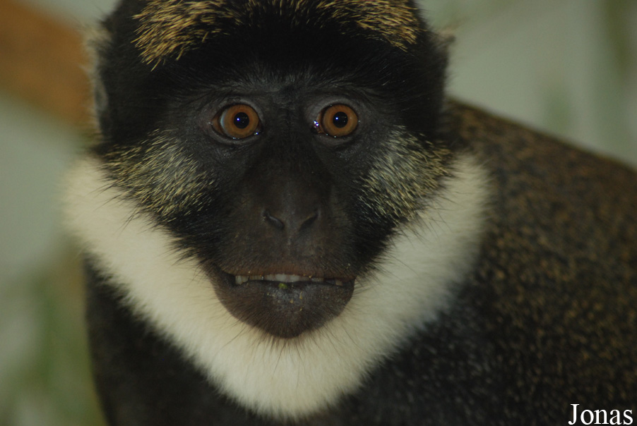 Parc Zoologique et Botanique de Mulhouse