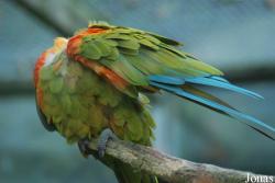 Parc Zoologique et Botanique de Mulhouse