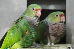 Parc Zoologique et Botanique de Mulhouse