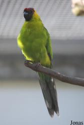 Parc Zoologique et Botanique de Mulhouse