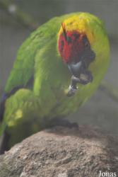 Parc Zoologique et Botanique de Mulhouse