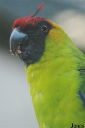 Parc Zoologique et Botanique de Mulhouse