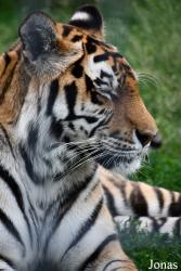 Trakėnų ZooParkas