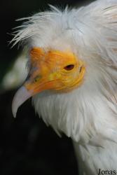 Parc Zoologique et Botanique de Mulhouse