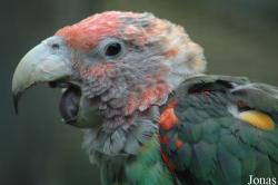 Parc Zoologique et Botanique de Mulhouse