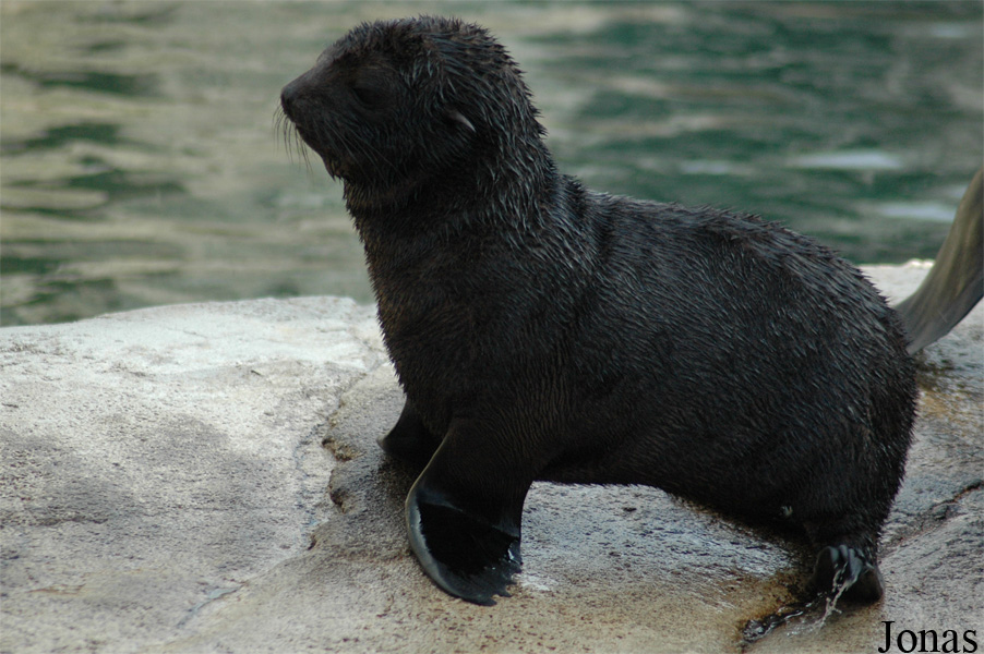 Zoo am Meer Bremerhaven