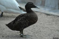 Zoo am Meer Bremerhaven