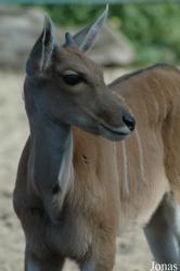 Tierpark Gettorf