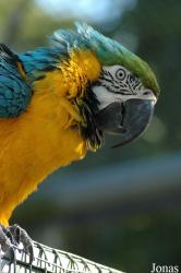 Tierpark Gettorf