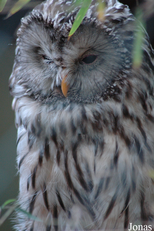 Tierpark Neumünster