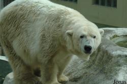 Tierpark Neumünster