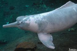 Zoo Duisburg