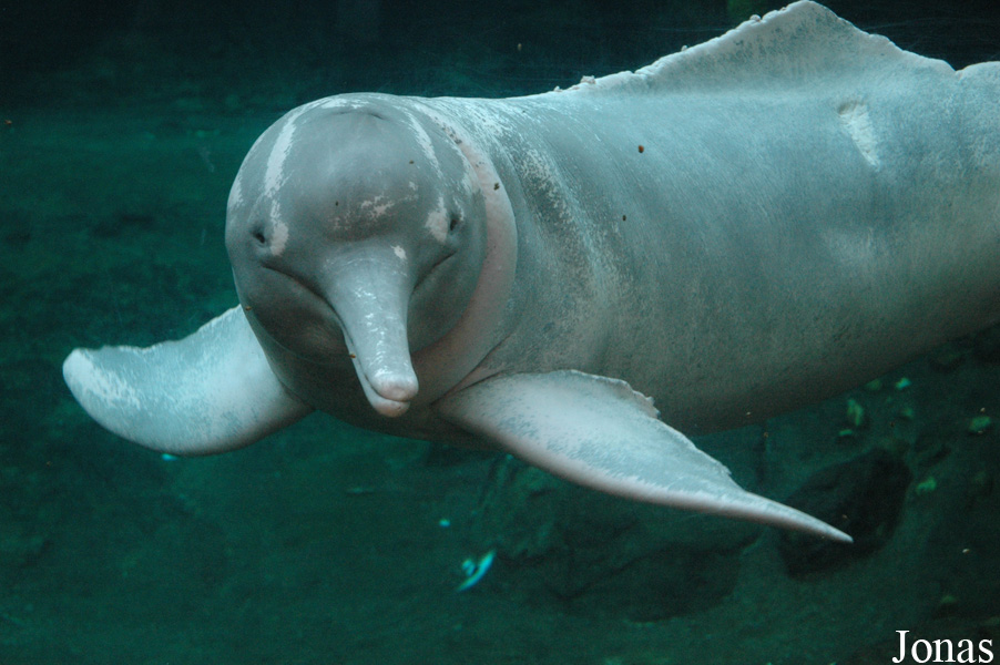 Zoo Duisburg
