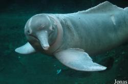 Zoo Duisburg