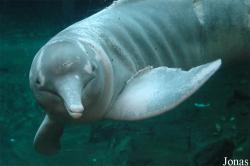 Zoo Duisburg