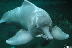 Zoo Duisburg