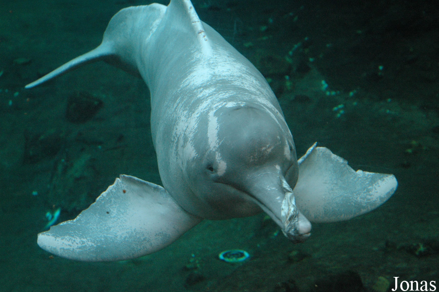 Zoo Duisburg