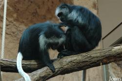 Zoo Duisburg