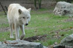 Zoo Duisburg