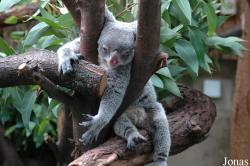 Zoo Duisburg