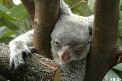 Zoo Duisburg