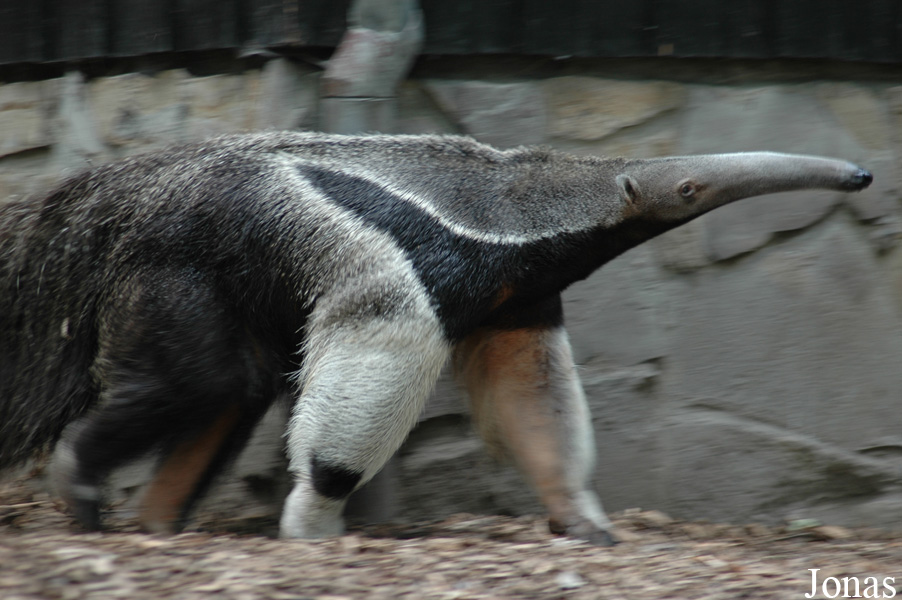 Zoo Duisburg