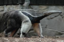 Zoo Duisburg