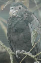Vogelpark Niendorf