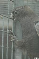 Vogelpark Niendorf